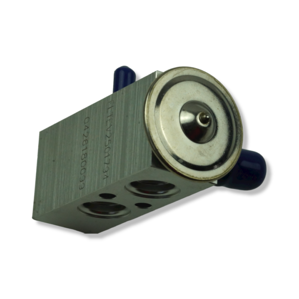 INTERNATIONAL:FLTEV2501794