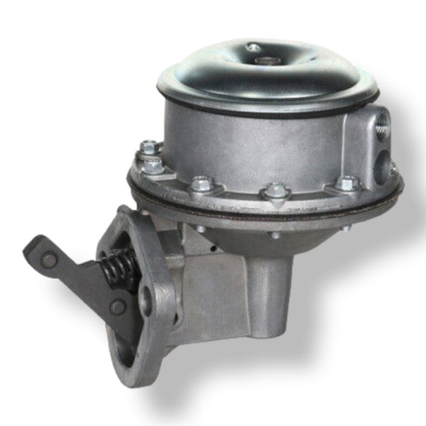 CARTER:M2468