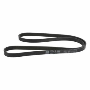 A black belt is bent to the side.
